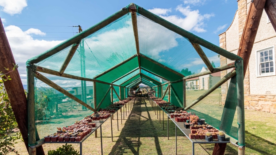 Commercial Property for Sale in Misgund Eastern Cape